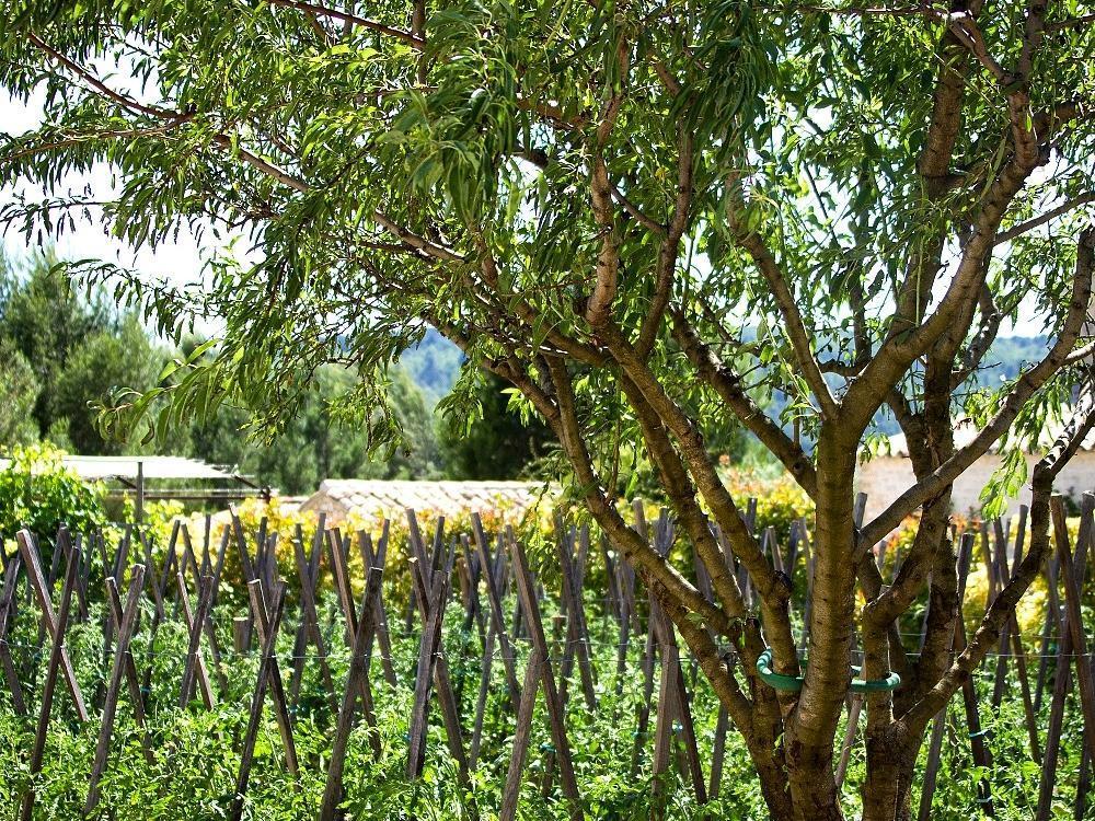 Hotel Carcarille Restaurant Le C Gordes Exterior photo